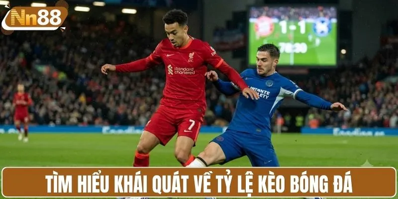 Tìm hiểu khái quát về tỷ lệ kèo bóng đá